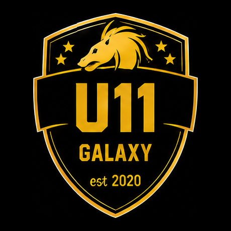 Carlisle Galaxy UNDER 11s badge