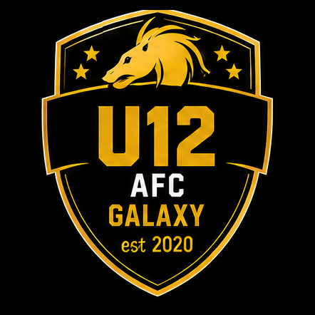 Carlisle Galaxy UNDER 12 AFC badge