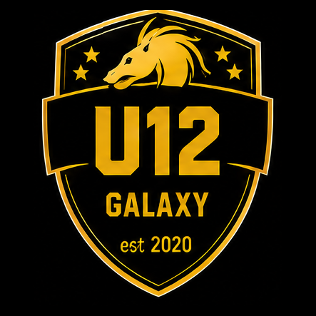 Carlisle Galaxy UNDER 12s badge