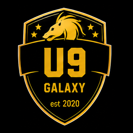 Carlisle Galaxy UNDER 9s badge