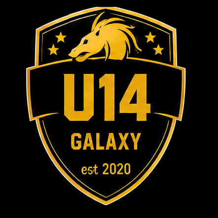 Carlisle Galaxy UNDER 14s badge