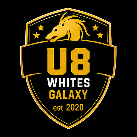 Carlisle Galaxy UNDER 8 WHITES badge