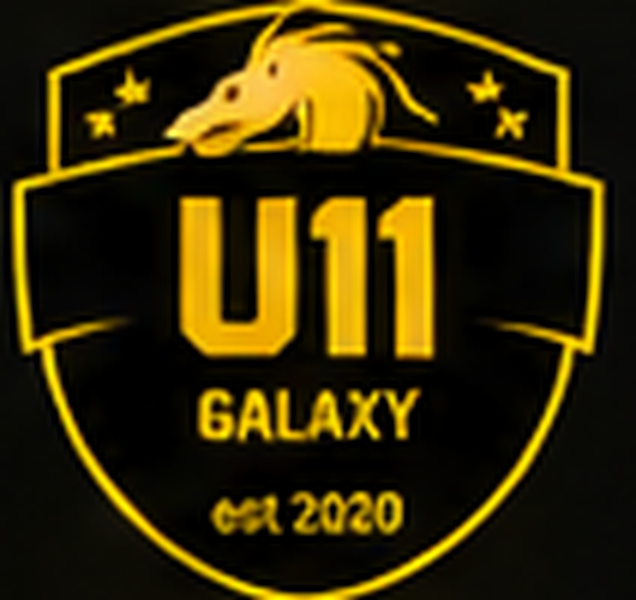 Carlisle Galaxy UNDER 11s badge