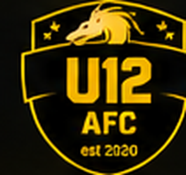 Carlisle Galaxy UNDER 12 AFC badge