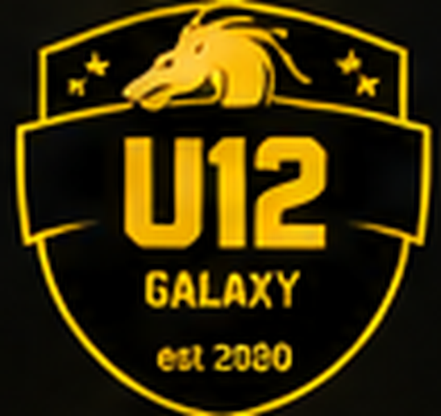Carlisle Galaxy UNDER 12s badge