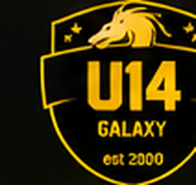 Carlisle Galaxy UNDER 14s badge