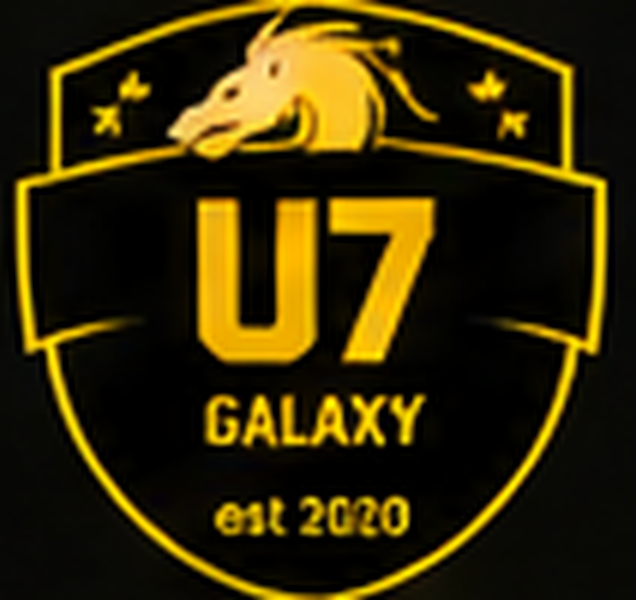 Carlisle Galaxy UNDER 7s badge