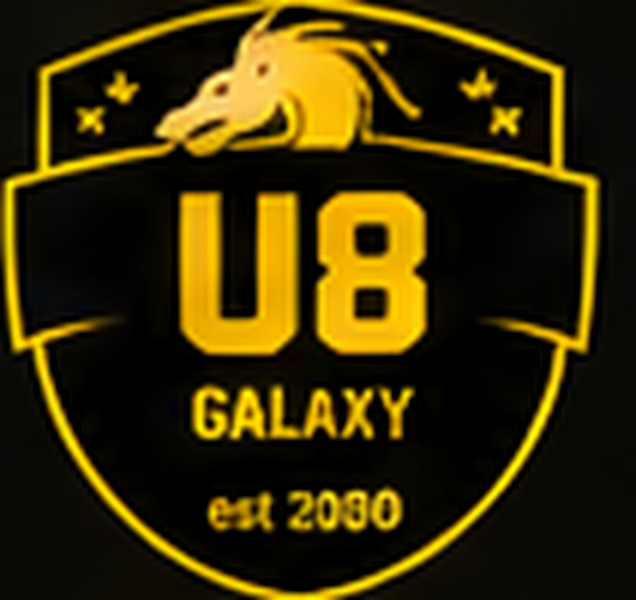 Carlisle Galaxy UNDER 8s badge