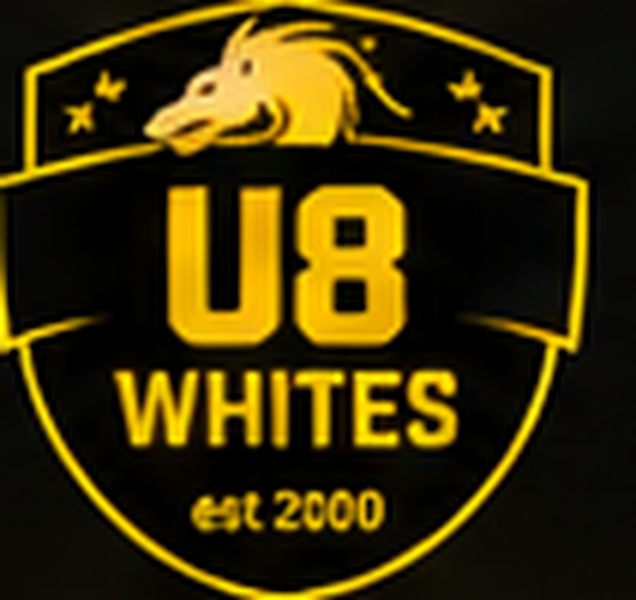 Carlisle Galaxy UNDER 8 WHITES badge