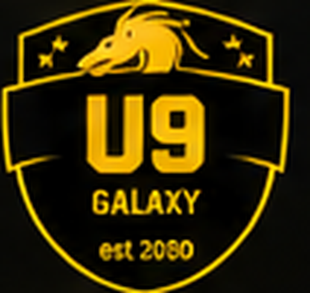 Carlisle Galaxy UNDER 9s badge